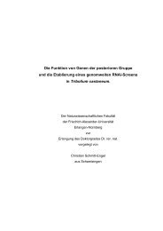 Dokument 1.pdf - OPUS - Friedrich-Alexander-Universität Erlangen ...