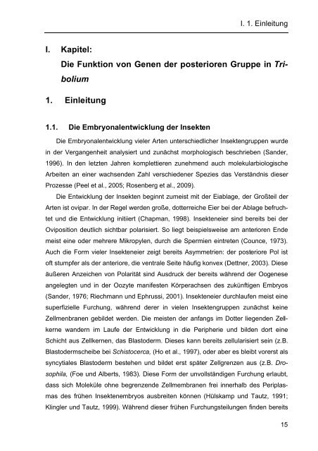 Dokument 1.pdf - OPUS - Friedrich-Alexander-Universität Erlangen ...