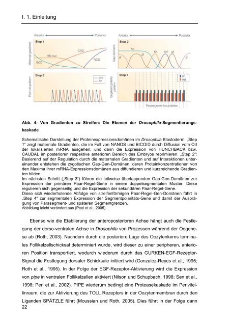 Dokument 1.pdf - OPUS - Friedrich-Alexander-Universität Erlangen ...