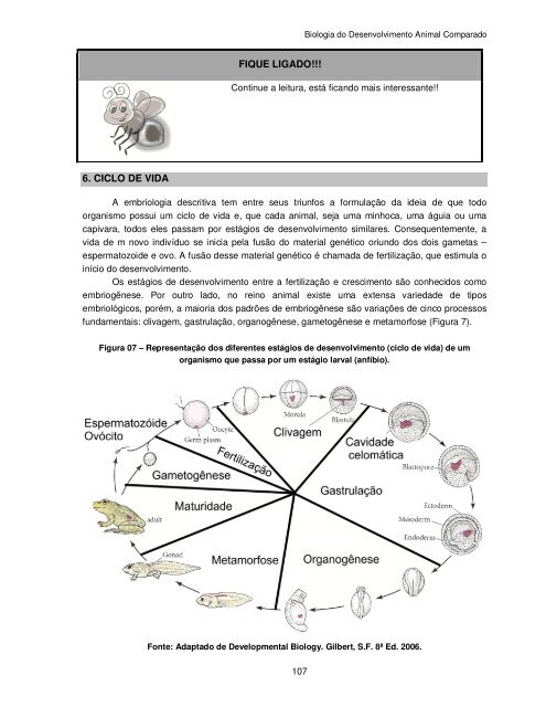 Biologia do Desenvolvimento Animal Comparado - UFPB Virtual