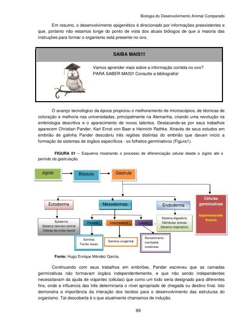 Biologia do Desenvolvimento Animal Comparado - UFPB Virtual