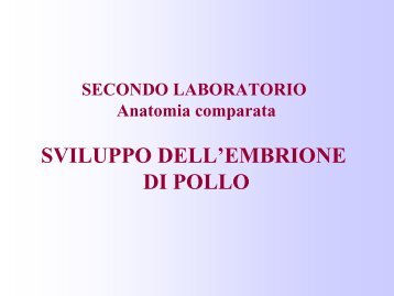 SVILUPPO DELL’EMBRIONE DI POLLO