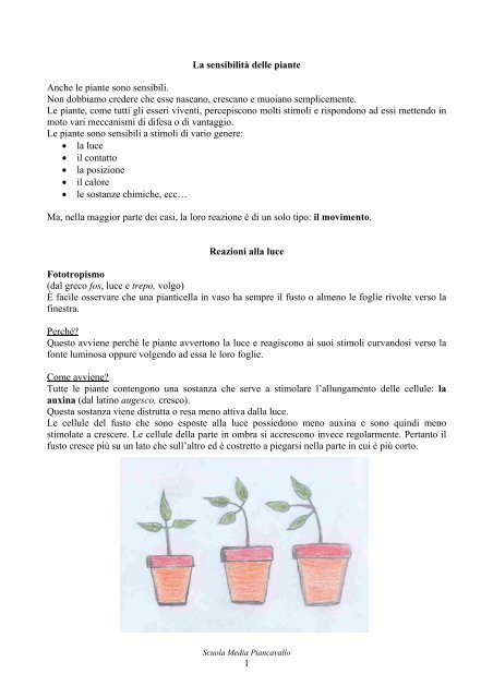 Il movimento nel mondo vegetale - Scuola Media di Piancavallo