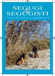 SEGUGI SEGUGISTI - SegugieSegugisti.it