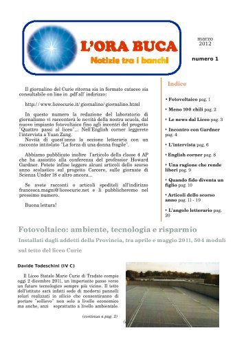 file in .pdf - Liceo Statale Marie Curie