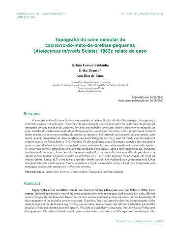 (Atelocynus microtis Sclater, 1882): relato de caso - Biotemas