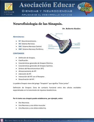 Neurofisiología de las Sinapsis. - Asociación Educar