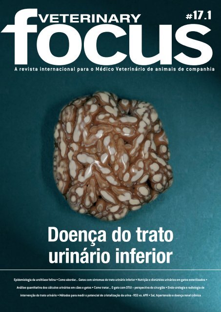 Chipre prostatitis antibióticos