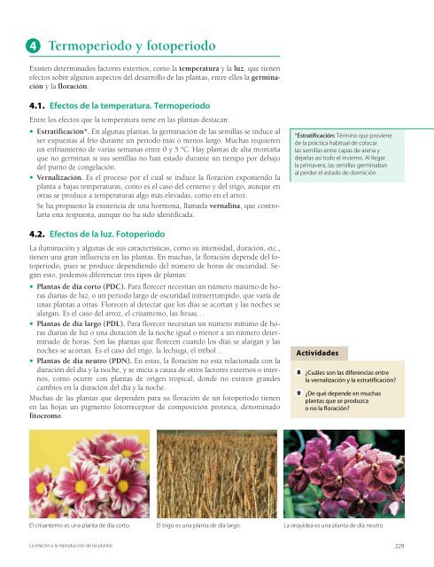 Los procesos de nutrición en plantas