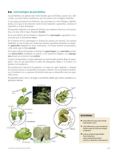 Los procesos de nutrición en plantas