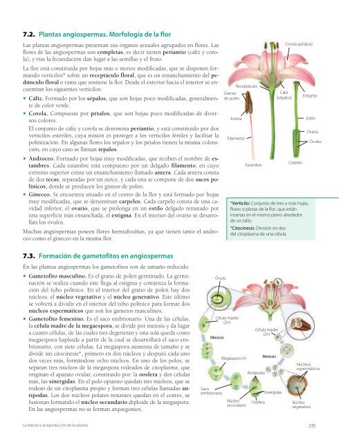 Los procesos de nutrición en plantas