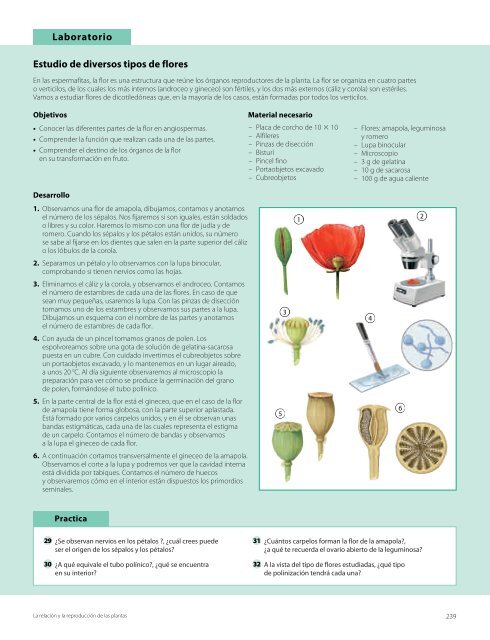 Los procesos de nutrición en plantas