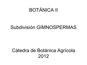 BOTÁNICA II Subdivisión GIMNOSPERMAS Cátedra de Botánica ...