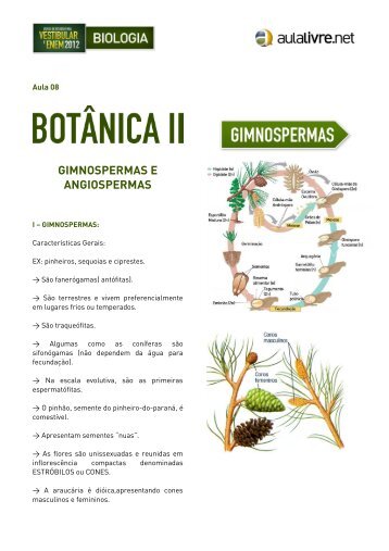 apostila-botanica-II.pdf - Aulalivre.net