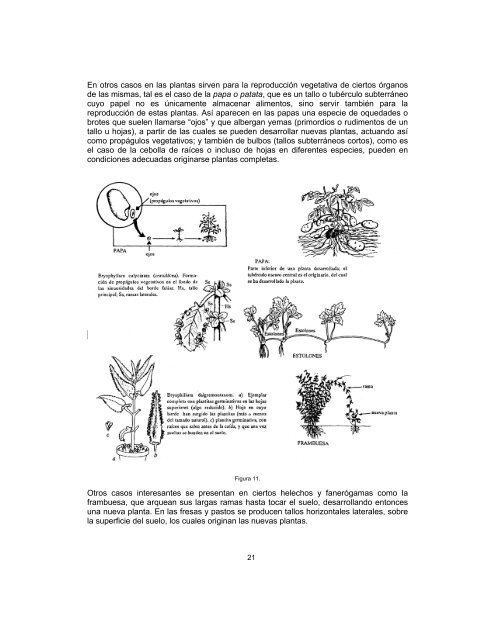 Biologia 2 fasículo 4 - Conevyt