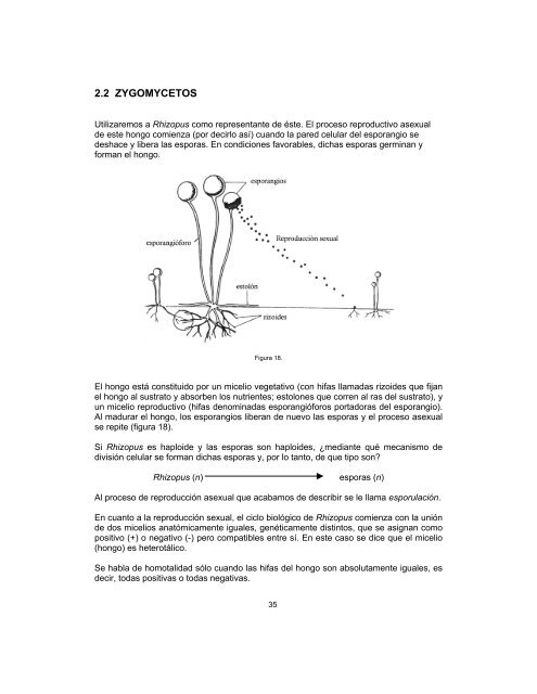 Biologia 2 fasículo 4 - Conevyt