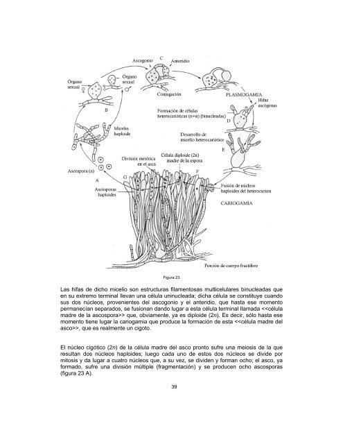 Biologia 2 fasículo 4 - Conevyt