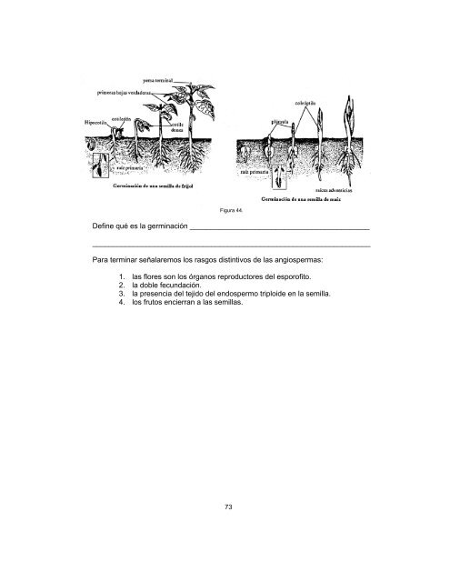 Biologia 2 fasículo 4 - Conevyt