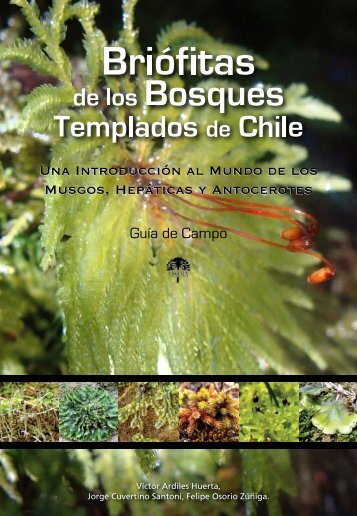Las Briófitas - Corma Bio Bio