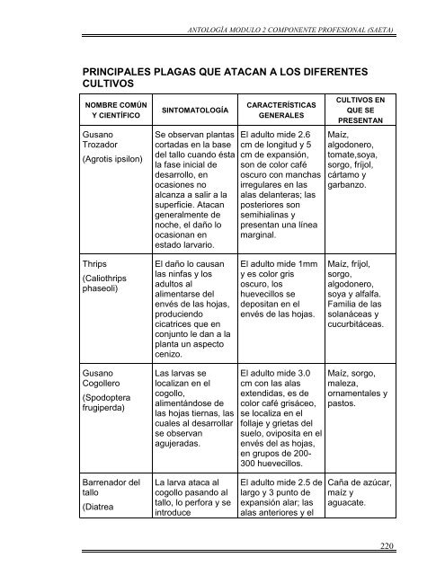 MODULO 2.pdf - cbta233.edu.mx