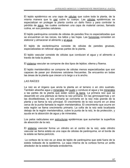 MODULO 2.pdf - cbta233.edu.mx