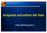 Uropatie ostruttive del feto - Dolphin Organization