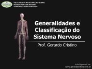 Generalidades e Classificação do Sistema Nervoso - Dr. Gerardo ...