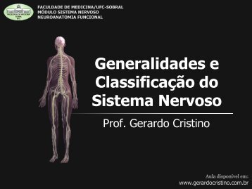 Generalidades e Classificação do Sistema Nervoso - Dr. Gerardo ...