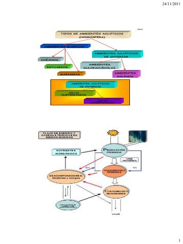 algas marinas diapo.pdf - Webnode