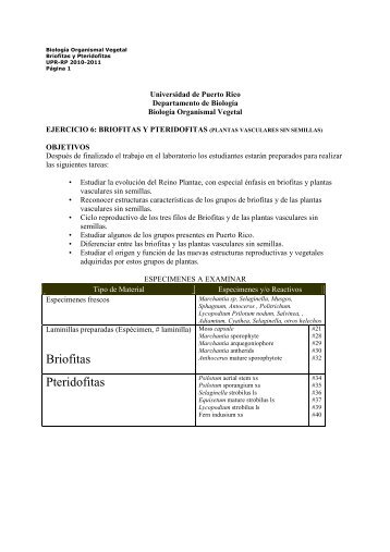 Ejercicio #6_ Briofitas y Helechos 2010.pdf - BIOL3410UPR-RP