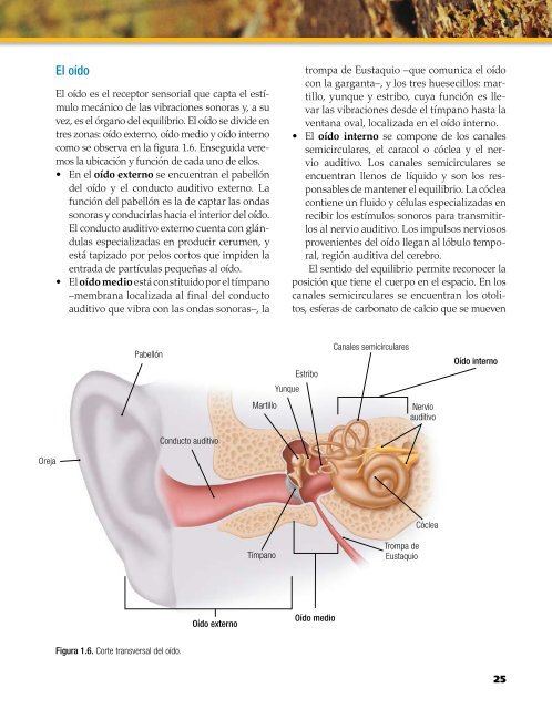 Capítulo muestra (7545.0K) - McGraw-Hill