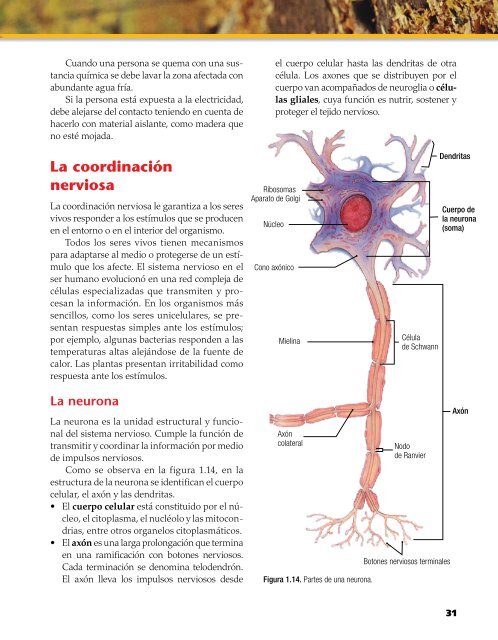 Capítulo muestra (7545.0K) - McGraw-Hill