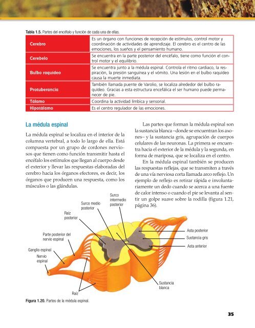 Capítulo muestra (7545.0K) - McGraw-Hill