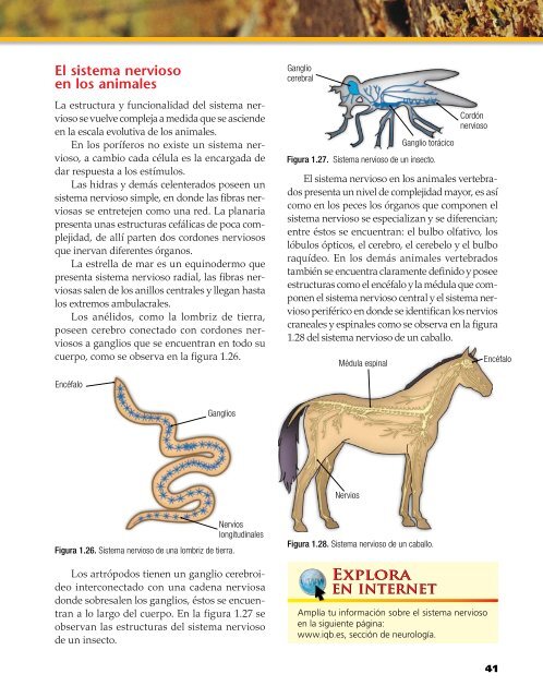 Capítulo muestra (7545.0K) - McGraw-Hill