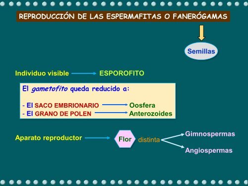 la reproducción de las plantas - ies "poeta claudio rodríguez"