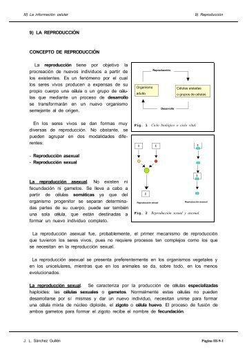 9) LA REPRODUCCIÓN CONCEPTO DE ... - IES Pando