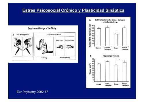 Manejo Racional de Psicofármacos en la Mujer - IGBA