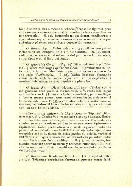 Datos para la flora algológica de nuestras aguas dulces - Jolube ...