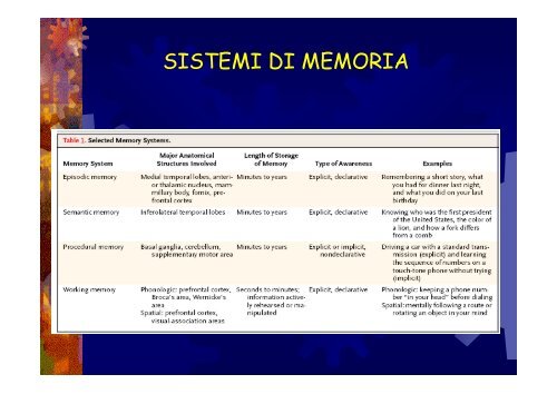 Lobo temporale memoria Lobo temporale memoria - Neurofisiologia ...