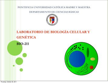 laboratorio de biología celular y genética bio-211 - Pucmm