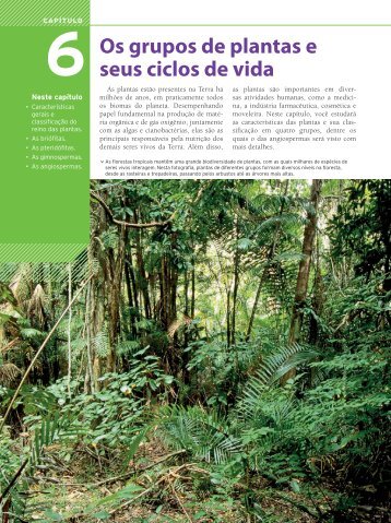 Os grupos de plantas e seus ciclos de vida