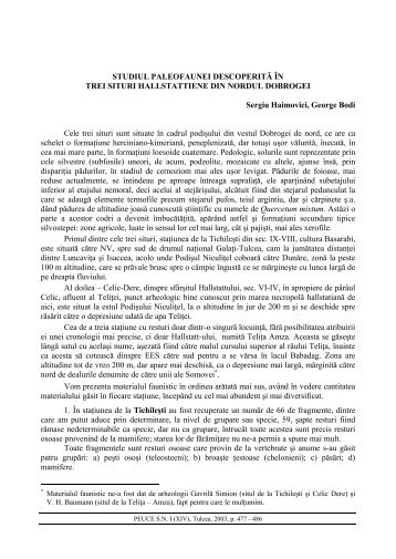Sergiu Haimovici, George Bodi - revistapeuce.icemtl.ro