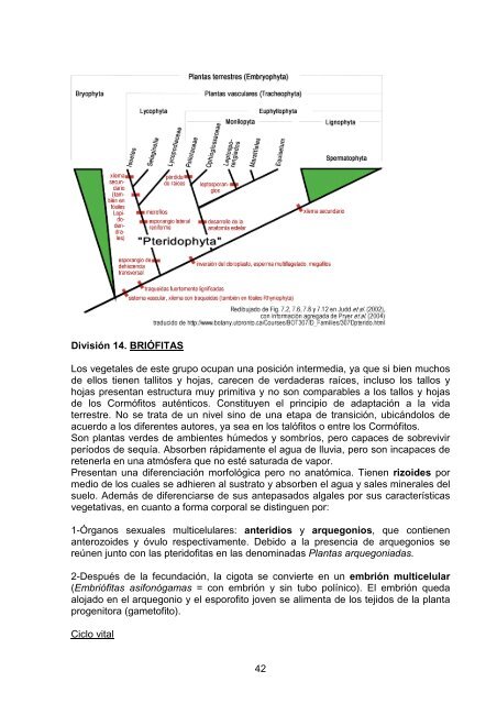 Download File - Cátedra de Sistemática Vegetal