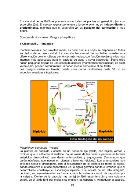 Download File - Cátedra de Sistemática Vegetal