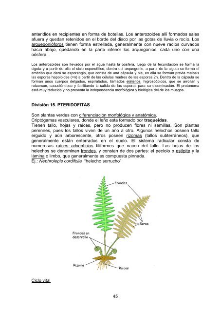 Download File - Cátedra de Sistemática Vegetal