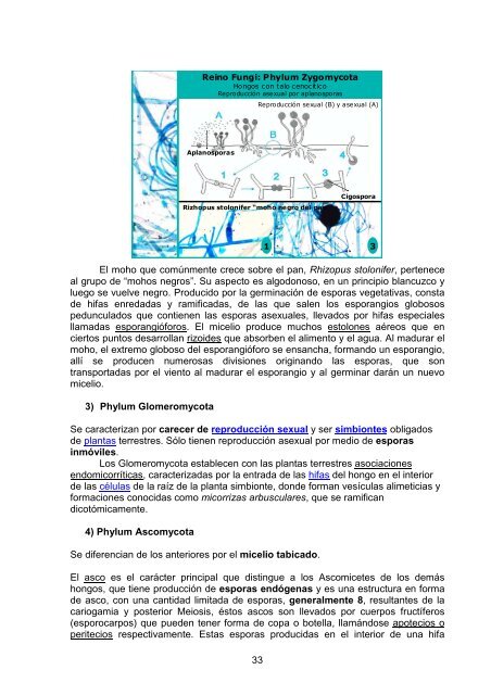 Download File - Cátedra de Sistemática Vegetal