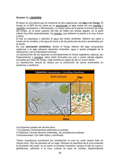 Download File - Cátedra de Sistemática Vegetal