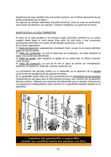 Download File - Cátedra de Sistemática Vegetal