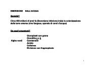 ragazza che risale un uomo sposato