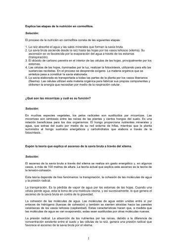 modelo examen tema 7 - Telefonica.net